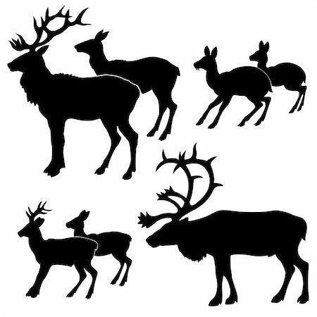 simsearch:400-05266074,k - vector silhouette of the deers on white background Stock Photo - Budget Royalty-Free & Subscription, Code: 400-04735937