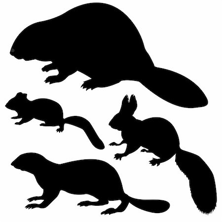 simsearch:400-05266074,k - silhouette animal on white background Stock Photo - Budget Royalty-Free & Subscription, Code: 400-04735946