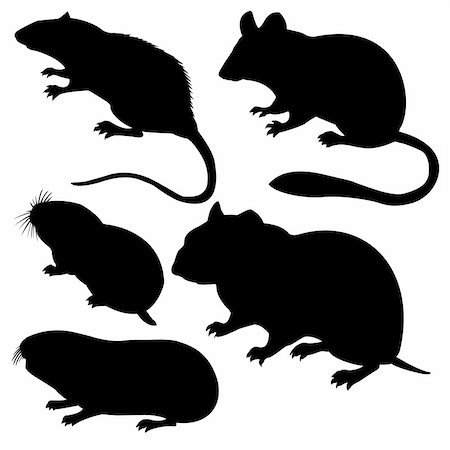 vector silhouettes rodent on white background Stock Photo - Budget Royalty-Free & Subscription, Code: 400-04735948