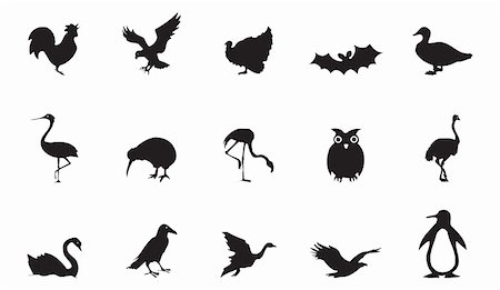 stork vector - pieces of detailed vector bird silhouettes. Stock Photo - Budget Royalty-Free & Subscription, Code: 400-04736511