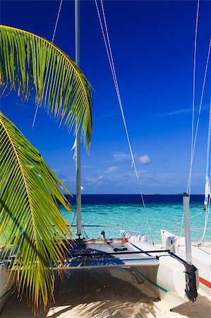 simsearch:400-03991814,k - Tropical Paradise at Maldives with palms and blue sky Stock Photo - Budget Royalty-Free & Subscription, Code: 400-04738715