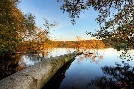 simsearch:400-04756224,k - Autumn at the lake Stock Photo - Budget Royalty-Free & Subscription, Code: 400-04739937