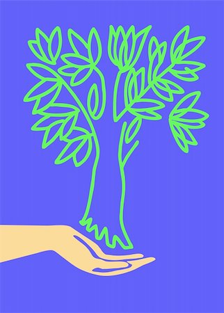simsearch:400-05266074,k - drawing of the hand holding tree Stock Photo - Budget Royalty-Free & Subscription, Code: 400-04732867
