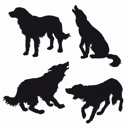 snarling dog images - vector silhouette of the dog on white background Stock Photo - Budget Royalty-Free & Subscription, Code: 400-04732893