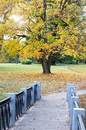 simsearch:400-04909150,k - Bridge from the marble in the autumnal park Stock Photo - Budget Royalty-Free & Subscription, Code: 400-04733031