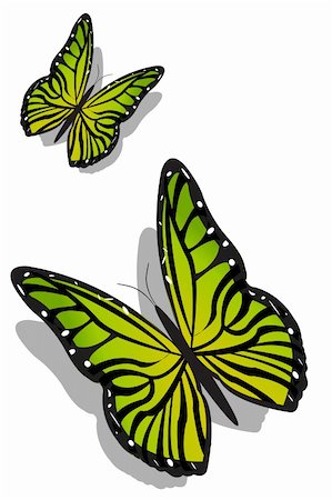 simsearch:400-04259527,k - illustration of pair of colorful butterflies on an isolated background Stock Photo - Budget Royalty-Free & Subscription, Code: 400-04744915