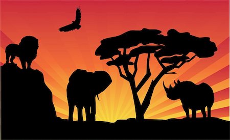 simsearch:400-04597010,k - vector african landscape with different animals and sunrise Stock Photo - Budget Royalty-Free & Subscription, Code: 400-04746967