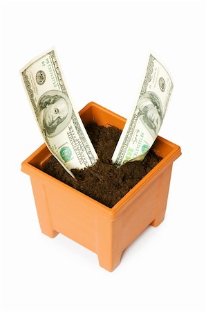 simsearch:400-08891312,k - Dollars growing in the pot isolated on the white Stock Photo - Budget Royalty-Free & Subscription, Code: 400-04748116