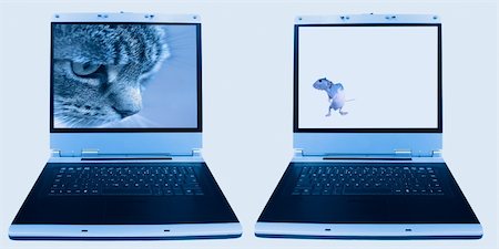laptop screens with cat and mouse images Stock Photo - Budget Royalty-Free & Subscription, Code: 400-04754362