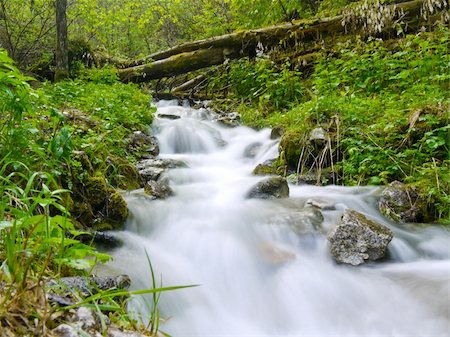 simsearch:400-05890122,k - Beautiful waterfall in virgin forest with clear water Stock Photo - Budget Royalty-Free & Subscription, Code: 400-04757134