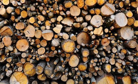 sawmill wood industry - Sawed Firewood Dropped In a Pile In The Forest Stock Photo - Budget Royalty-Free & Subscription, Code: 400-04750116