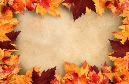 pumpkin leaf pattern - Autumn leaves frame with vintage paper background Stock Photo - Budget Royalty-Free & Subscription, Code: 400-04750677