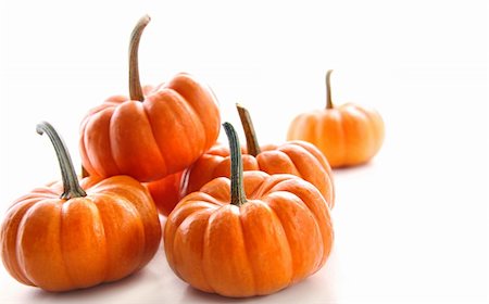 Miniature orange pumpkins against white background Stock Photo - Budget Royalty-Free & Subscription, Code: 400-04750685