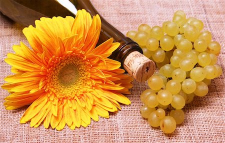 simsearch:846-05647552,k - Wine bottle with yellow flower and grapes branch Stock Photo - Budget Royalty-Free & Subscription, Code: 400-04767406