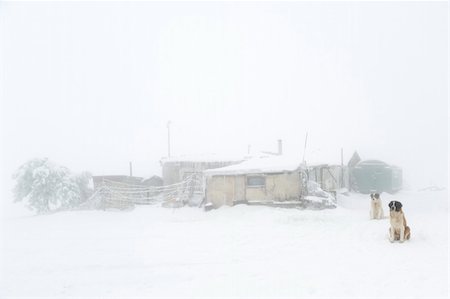 Lonely building on Ay Petri mountain in winter. Ukraine Stock Photo - Budget Royalty-Free & Subscription, Code: 400-04774051