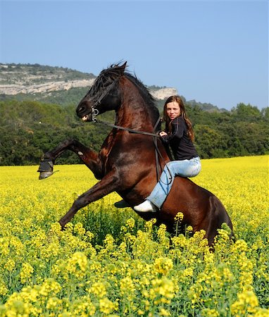 beautiful black stallion with girl in a field Stock Photo - Budget Royalty-Free & Subscription, Code: 400-04774088