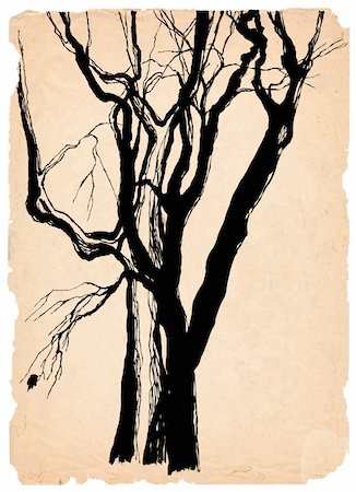 simsearch:400-04776674,k - old trees shabby  paper  pen drawing Stock Photo - Budget Royalty-Free & Subscription, Code: 400-04776761