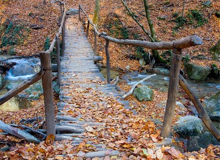 simsearch:400-04909150,k - Wooden bridge over brook in autumn forest Stock Photo - Budget Royalty-Free & Subscription, Code: 400-04777176
