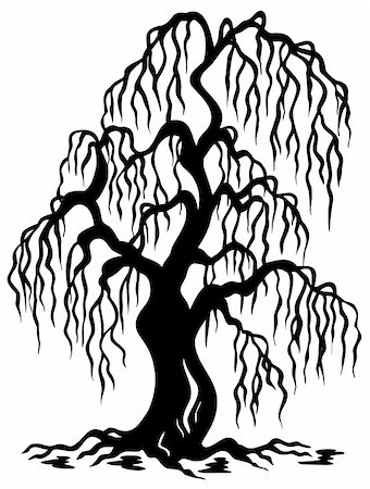 simsearch:400-05885713,k - Willow tree silhouette - vector illustration. Stock Photo - Budget Royalty-Free & Subscription, Code: 400-04770203