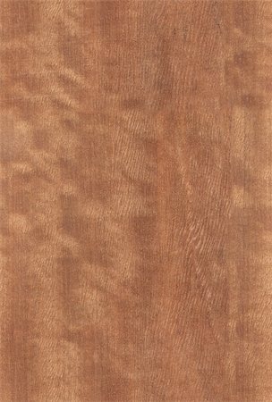 nut wood texture Stock Photo - Budget Royalty-Free & Subscription, Code: 400-04773109