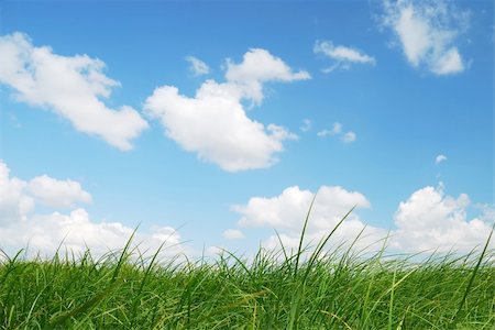 fresh air background - Green grass and blue sky with clouds Stock Photo - Budget Royalty-Free & Subscription, Code: 400-04787674