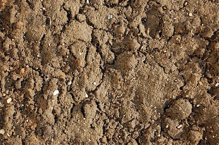texture and pattern of old dirty soil Stock Photo - Budget Royalty-Free & Subscription, Code: 400-04780076