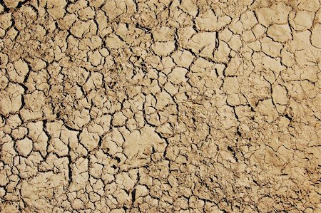 dry and cracked soil in hot summer on a farm Stock Photo - Budget Royalty-Free & Subscription, Code: 400-04780083