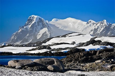 simsearch:400-05271801,k - Beautiful snow-capped mountains against the blue sky in Antarctica Stock Photo - Budget Royalty-Free & Subscription, Code: 400-04781275