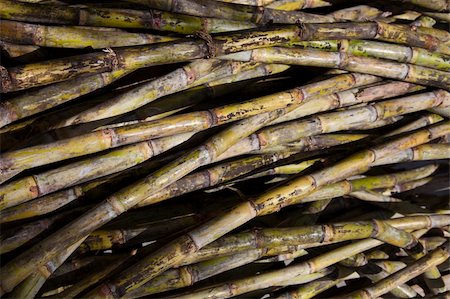 Bamboo sticks seen on the market Foto de stock - Super Valor sin royalties y Suscripción, Código: 400-04781363