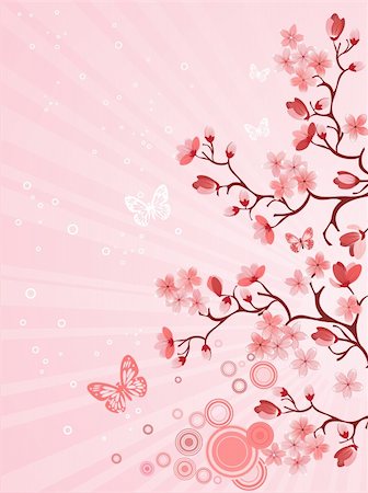 design patterns with cherry blossom flowers - Japanese cherry blossom Stock Photo - Budget Royalty-Free & Subscription, Code: 400-04794732