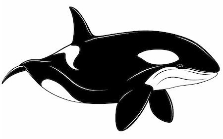 Killer whale, tattoo. Stock Photo - Budget Royalty-Free & Subscription, Code: 400-04795167