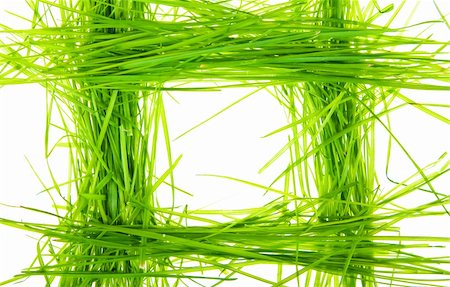 simsearch:400-05362449,k - green grass on white background Stock Photo - Budget Royalty-Free & Subscription, Code: 400-04792319