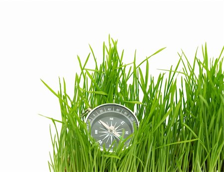 simsearch:400-05362449,k - compass in green grass isolated on white background Stock Photo - Budget Royalty-Free & Subscription, Code: 400-04804089