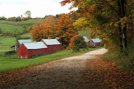 exterior color for house in the forest - A country road leading to the Jenny Farm in Vermont. Stock Photo - Budget Royalty-Free & Subscription, Code: 400-04807240