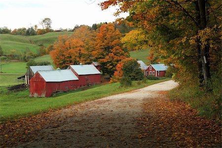 djenne - A country road leading to the Jenny Farm in Vermont. Stock Photo - Budget Royalty-Free & Subscription, Code: 400-04807240