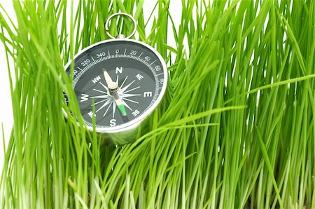 simsearch:400-05362449,k - compass in green grass isolated on white Stock Photo - Budget Royalty-Free & Subscription, Code: 400-04807941