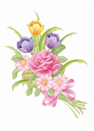 hand drawn -bouquet Stock Photo - Budget Royalty-Free & Subscription, Code: 400-04808393