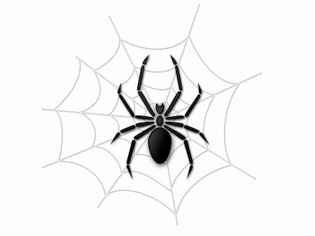 Spider and web illustration Stock Photo - Budget Royalty-Free & Subscription, Code: 400-04808729