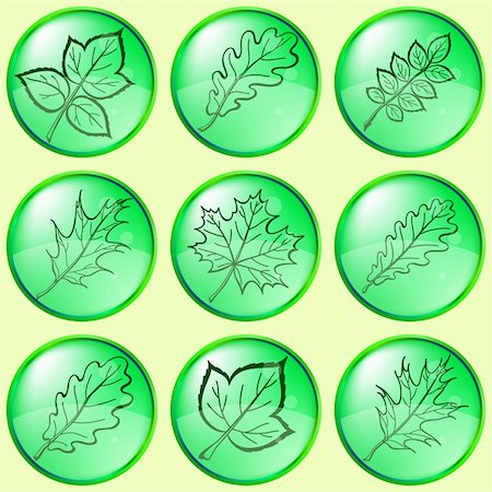 simsearch:400-05698489,k - Leaves buttons, green, vector eps10, set: dogrose, oak, raspberry, oak iberian, maple Stock Photo - Budget Royalty-Free & Subscription, Code: 400-04800344