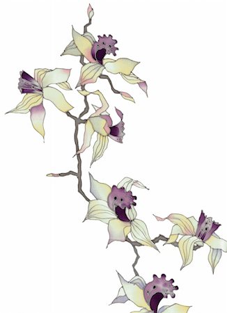 simsearch:400-04776674,k - Image of my artwork with a orchid branch on white background Stock Photo - Budget Royalty-Free & Subscription, Code: 400-04800886