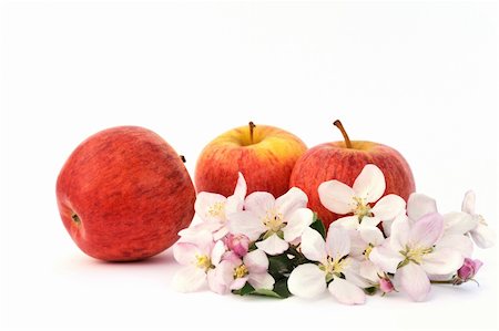 Apples and apple tree blossoms - still life Stock Photo - Budget Royalty-Free & Subscription, Code: 400-04803440