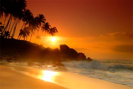 simsearch:400-05745636,k - Beautiful colorful sunset over sea and boulders seen under the palms on Sri Lanka Stock Photo - Budget Royalty-Free & Subscription, Code: 400-04816423