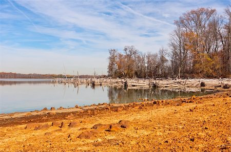 simsearch:673-02801432,k - Fallen dead trees around a lake. There is gold colored sand and clay in the foreground. Stock Photo - Budget Royalty-Free & Subscription, Code: 400-04816586