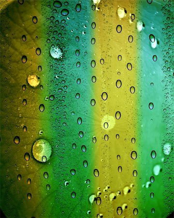 simsearch:400-05363406,k - background of beautiful water drops Stock Photo - Budget Royalty-Free & Subscription, Code: 400-04816762