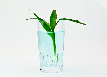 dehydrated - aquamarine water, glass and bamboo plant shot under soft lights... Foto de stock - Super Valor sin royalties y Suscripción, Código: 400-04817825