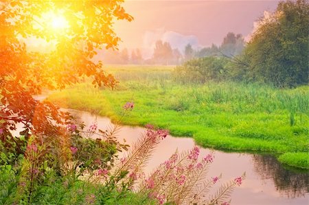 flower tree sunrise - Landscape with small forest river at sunny summer evening Stock Photo - Budget Royalty-Free & Subscription, Code: 400-04818024