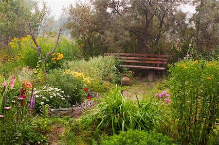 Forgotten garden yard in fog. Nobody. Horizontal. Stock Photo - Budget Royalty-Free & Subscription, Code: 400-04812389