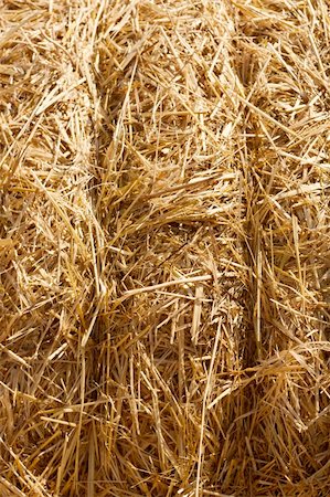 simsearch:400-05386603,k - Wheat Haystacks after the harvest. Summer. Stock Photo - Budget Royalty-Free & Subscription, Code: 400-04812394