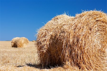 simsearch:400-05386603,k - Wheat Haystacks after the harvest. Summer. Stock Photo - Budget Royalty-Free & Subscription, Code: 400-04812391