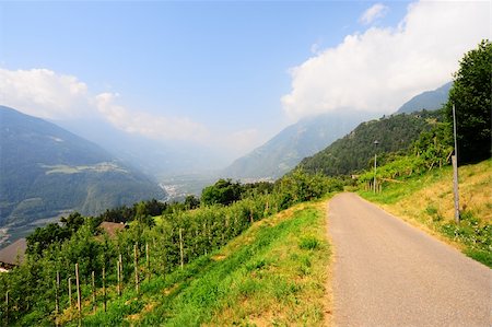 The Vineyard And Farm Houses At the Foot Of The Italian Alps Stock Photo - Budget Royalty-Free & Subscription, Code: 400-04812452